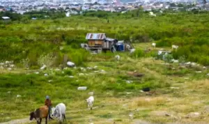 Warga Balaroa Tuntut Kepastian Lahan Eks Likuifaksi dengan Kerja Bakti