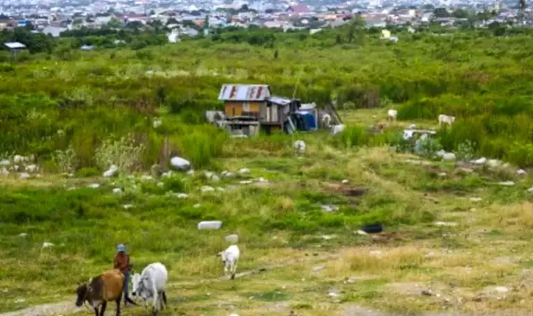 Lahan eks likuifaksi Balaroa yang kini menjadi belukar. (©bmzIMAGES/Basri Marzuki)