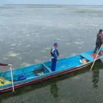 Operasi pencarian oleh Tim SAR Gabungan terhadap seorang pencari batu yang hilang di perairan Pulau Kaleroang, Kecamatan Bungku Selatan, Kabupaten Morowali, Sulawesi Tengah, Rabu (8/10/2025). (© Basarnas Palu)