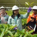Petugas Nursery & Rehabilitation PT Vale Indonesia memberikan penjelasan tentang Taman Kehati kepada para pelajar dalam kunjungan edukasi lingkungan di Sorowako, Luwu TImur, Sulse, Jumat (3/10/2025). (© PT Vale Indonesia)