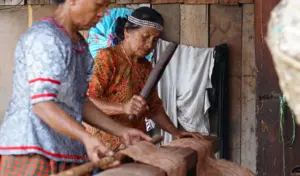 Tangan Tua yang Tak Lelah Merawat Warisan Kain Kulit Kayu