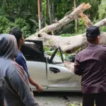Warga membantu mengevakuasi kendaraan yan tertimpa pohon tumbang di Kilo 4 Kebun Kopi, Parigi Moutong, Selasa (4/11/2025). (©Humas Polres Parimo)