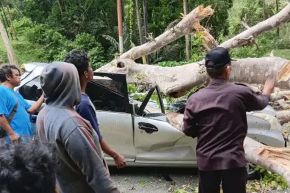 Warga membantu mengevakuasi kendaraan yan tertimpa pohon tumbang di Kilo 4 Kebun Kopi, Parigi Moutong, Selasa (4/11/2025). (©Humas Polres Parimo)