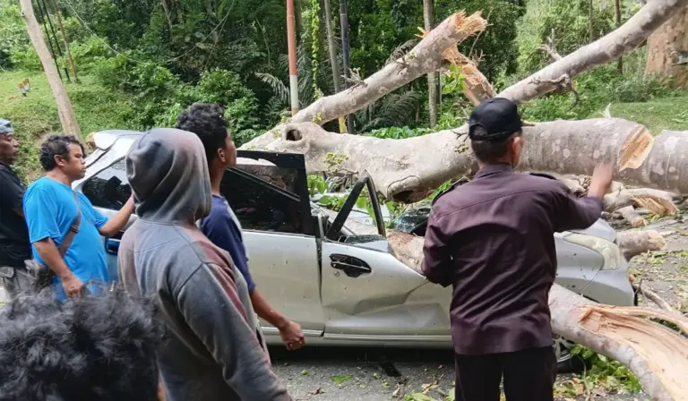 Warga membantu mengevakuasi kendaraan yan tertimpa pohon tumbang di Kilo 4 Kebun Kopi, Parigi Moutong, Selasa (4/11/2025). (©Humas Polres Parimo)