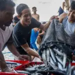 Ilustrasi nelayan membngkar ikan cakalang hasil tangkapannya di PPI Donggala, Rabu (20/10/2021). (©bmzIMAGES/Basri Marzuki)