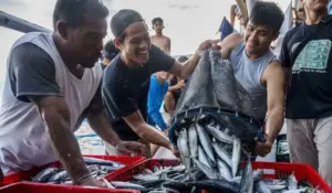 Inflasi Sulteng Oktober 2025 Tembus 3,92 Persen, Tertinggi di Tolitoli