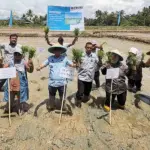 Bupati Kolaka bersama pejabat Kementan dan Pt Vale pada penanaman padi di Kolaka, Sultra. (©PT Vale Indonesia)