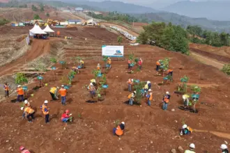 Penanaman pohon serentak di area reklamasi Gabriella Hills PT Vale Indonesia di Blok IGP Morowali, Jumat (28/11/2025). (©PT Vale Indonesia)