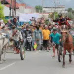 Peserta memacu dokarnya pad abalap dokar di Palu, Sabtu (27/12/2025). (©FB/Armin Amiruddin)