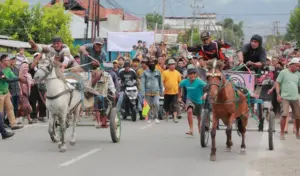 Wagub Sulteng Buka Dokar Race Event Palu, Perlu Arena Khusus