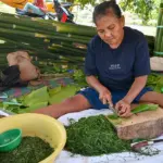 Pedagang mengiris daun Pangi untuk dijual sebagai bahan makanan tradisional perayaan Natal dan Tahun Baru di Pasar Kaget Nunu, Palu, Selasa (23/12/2025). (©bmzIMAGES/Basri Marzuki)