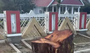 Pohon Depan Rujab Ditebang, Gubernur Anwar Hafid Marah