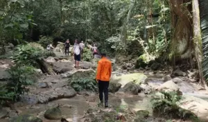 Tim SAR Cari Kakek 90 Tahun yang Hilang di Perkebunan Pagimana