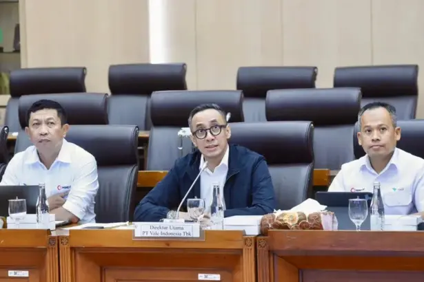 Presiden Direktur dan CEO PT Vale Indonesia Tbk, Bernardus Irmanto, (tengah) pada RDP denagn DPR, Selasa (20/1/2026). (©Pt Vale Indonesia)