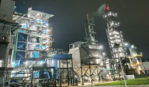 YTM Ungkap Bank BUMN Gelontorkan USD2,5 Miliar ke Proyek HPAL di Morowali