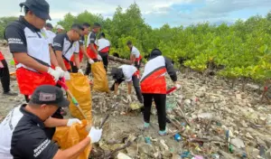 Basarnas Palu Bersihkan Pantai Mangrove Dupa dalam Pra Event HPSN