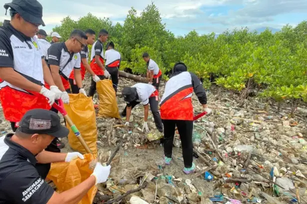 Sejumlah personel Basarnas Palu membersihkan sampah di area konservasi mangrove, Pantai Dupa, Layana Indah, Palu, Jumat (30/1/2026). (©Basarnas Palu)