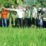 Pangdam XXIII/Palaka Wira Mayjen TNI Jonathan Binsar Parluhutan Sianipar bersama Bupati Sigi Muh Rizal Intjenae meninjau lahan sawah yang sudah siao panen raya di Gumbasa, Sigi, Jumat (23/1/2026). (©Pendam23)