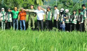 Kodam XXIII dan Pemkab Sigi Siap Sukseskan Panen Raya 319 Hektare