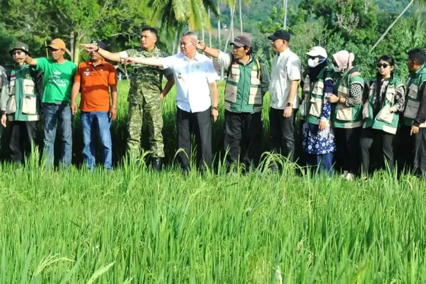 Pangdam XXIII/Palaka Wira Mayjen TNI Jonathan Binsar Parluhutan Sianipar bersama Bupati Sigi Muh Rizal Intjenae meninjau lahan sawah yang sudah siao panen raya di Gumbasa, Sigi, Jumat (23/1/2026). (©Pendam23)