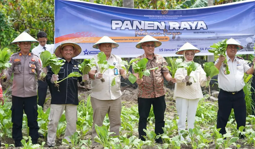 Panen raya serentak warga binaan Lapas Palu di Langaleso, Sigi, Kamis (15/1/2026). (©Prokopim Setda Kota Palu/Yuspi)