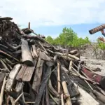 Relawan mengumpulkan sampah potongan kayu pada aksi Beach Clean Up di Pantau Dupa, Layana Indah Palu, Jumat (30/1/2026). (©bmzIMAGES/Basri Marzuki))