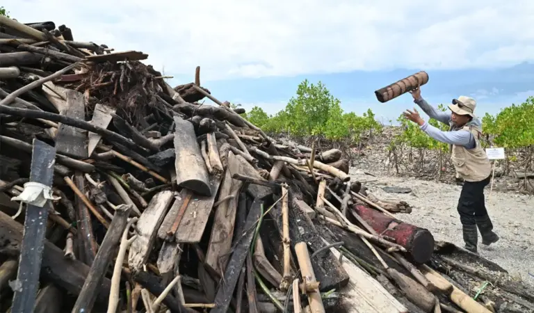 Relawan mengumpulkan sampah potongan kayu pada aksi Beach Clean Up di Pantau Dupa, Layana Indah Palu, Jumat (30/1/2026). (©bmzIMAGES/Basri Marzuki))