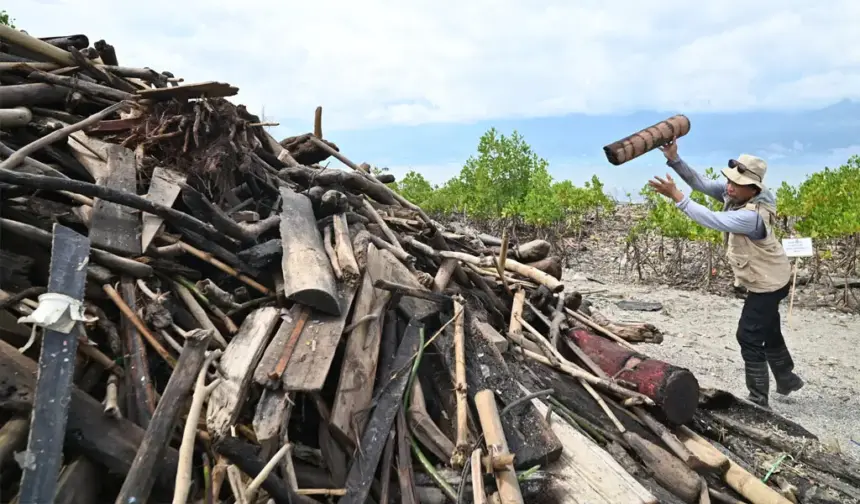 Relawan mengumpulkan sampah potongan kayu pada aksi Beach Clean Up di Pantau Dupa, Layana Indah Palu, Jumat (30/1/2026). (©bmzIMAGES/Basri Marzuki))