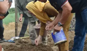 Wawali Tanam Bawang Merah di Petobo, Penuhi Kebutuhan Lokal