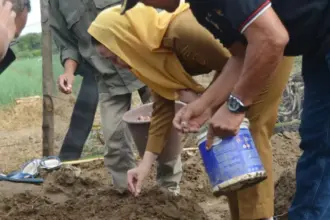Wawali Imelda Lilianan Muhidin menama bawang merah untuk program pemenuhan kebutuhan lokal di Petobo, Palu, Senin (12/1/2026). (©Prokopim Setda Kota Palu/Imron)