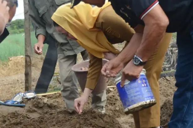Wawali Imelda Lilianan Muhidin menama bawang merah untuk program pemenuhan kebutuhan lokal di Petobo, Palu, Senin (12/1/2026). (©Prokopim Setda Kota Palu/Imron)