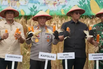 Kapolda Sulteng Irjen Pol Endi Sutendi (kedua kiri) pada panen raya serentak kuartal IV di Palu, Kamis (8/1/2026). (©Humas Polda Sutleng)