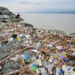 Warga memancing di dekat tumpukan sampah di pesisir Teluk Palu, Palu, Sulawesi Tengah, Selasa (20/1/2026). (©bmzIMAGES/Basri Marzuki)