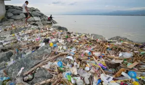 Jorok, Muara Sungai Palu Ditumpuki Sampah