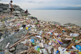 Warga memancing di dekat tumpukan sampah di pesisir Teluk Palu, Palu, Sulawesi Tengah, Selasa (20/1/2026). (©bmzIMAGES/Basri Marzuki)