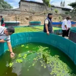 Budidaya lele sistem bioflok yang dikembangkan Satuan Peralatan Daerah Miiter XXIII/PW di palu. Kamis (12/2/2026). (©Pendam23)