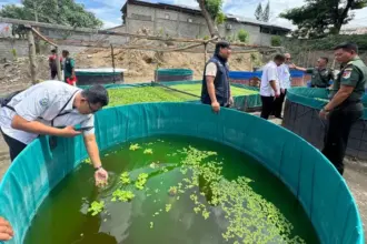 Budidaya lele sistem bioflok yang dikembangkan Satuan Peralatan Daerah Miiter XXIII/PW di palu. Kamis (12/2/2026). (©Pendam23)