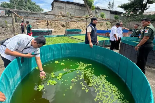 Budidaya lele sistem bioflok yang dikembangkan Satuan Peralatan Daerah Miiter XXIII/PW di palu. Kamis (12/2/2026). (©Pendam23)