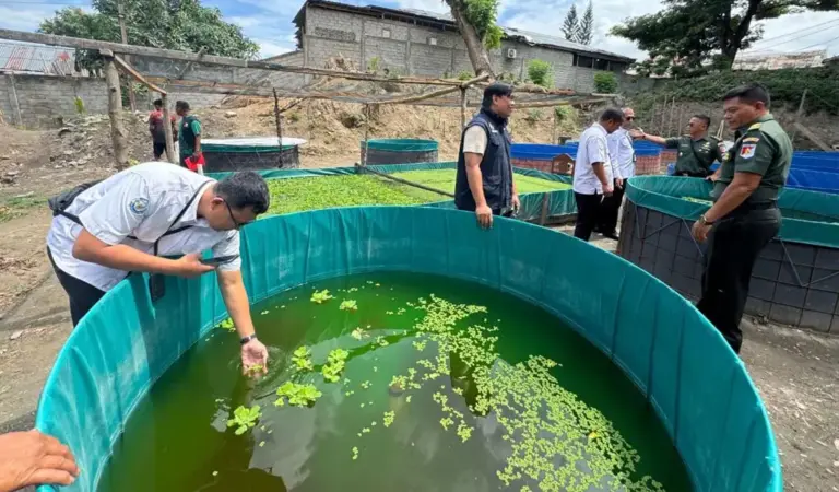 Budidaya lele sistem bioflok yang dikembangkan Satuan Peralatan Daerah Miiter XXIII/PW di palu. Kamis (12/2/2026). (©Pendam23)