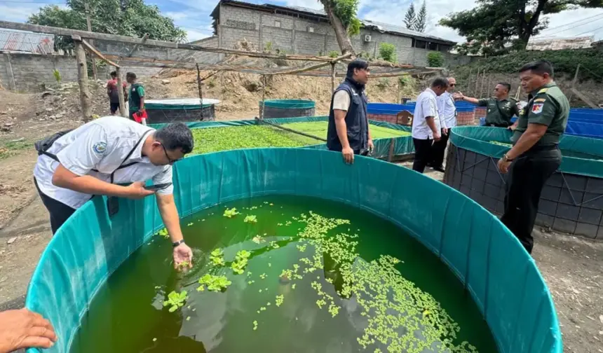 Budidaya lele sistem bioflok yang dikembangkan Satuan Peralatan Daerah Miiter XXIII/PW di palu. Kamis (12/2/2026). (©Pendam23)