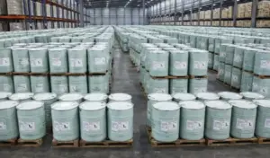 Komnas HAM Sulteng Ungkap dalam Sebulan 75 Ton Sianida Masuk Palu Secara Ilegal