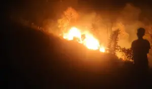 Kebakaran Lahan di Kasimbar, Diduga Akibat Kelalaian