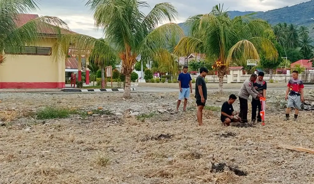 Manfaatkan Lahan Kosong Markas, Polsek Tomini Tanam Jagung