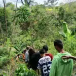 Tim SAR bersama warga melakukan pencarian pada seorang perempuan lansia yang hilang di perkebunan Walatana Sigi, Rab U25/2/2026). (©Basarnas Palu)