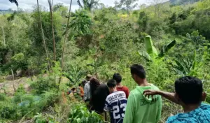 Seorang Lansia Dilaporkan Hilang di Perkebunan Walatana Sigi