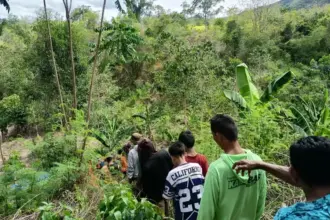 Tim SAR bersama warga melakukan pencarian pada seorang perempuan lansia yang hilang di perkebunan Walatana Sigi, Rab U25/2/2026). (©Basarnas Palu)