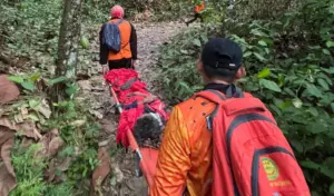 Enam Hari Hilang di Perkebunan Walatana, Lansia Saripah Ditemukan Selamat
