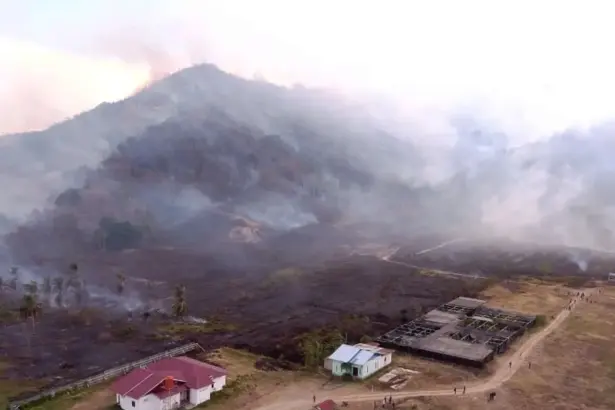 Situasi terkini kebakaran hutan di Parimo, Selasa (3/2/2026). (©BPBD Kabupaten Parigi Moutong)