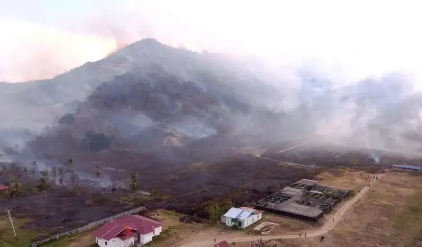 Situasi terkini kebakaran hutan di Parimo, Selasa (3/2/2026). (©BPBD Kabupaten Parigi Moutong)