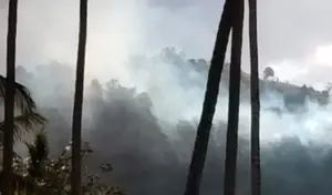 Kebakaran Hutan 20 Hektare di Parigi Utara Belum Padam